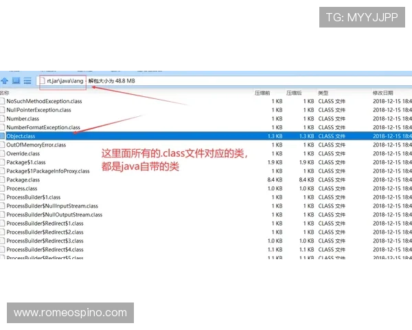 轻松畅玩：深入了解PA体育登录的操作流程与技巧