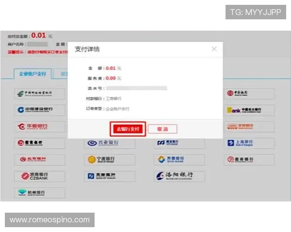 了解AG视讯官网的支付方式与提款流程，轻松实现资金快速到账体验